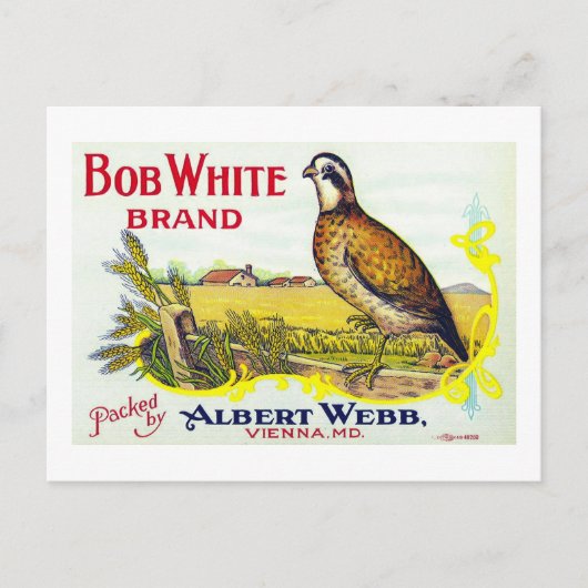 "Bob White Pumpkin Brand Canning Label"-Karte Postkarte (Vorderseite)