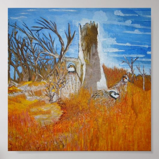 Bob White Quail Poster (Vorne)