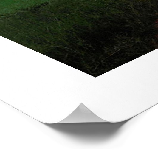 Bobab-Waldposter Afrika vom 8.99. Poster (Ecke)