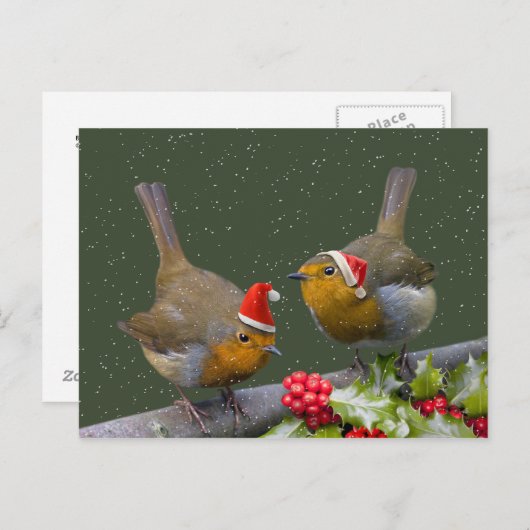 Bobbin' Robins Postkarte (Vorne/Hinten)