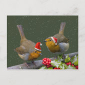 Bobbin' Robins Postkarte (Vorderseite)