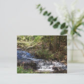 Bobby McLean Memorial Park #4 Newland, NC Postkarte (Stehend Vorderseite)