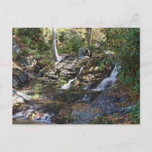 Bobby McLean Memorial Park #5, Newland, NC Postkarte (Vorderseite)