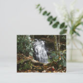 Bobby McLean Memorial Park, Newland, NC #3 Postkarte (Stehend Vorderseite)