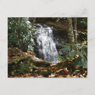 Bobby McLean Memorial Park, Newland, NC #3 Postkarte