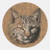Bobcat Aufkleber (Vorderseite)