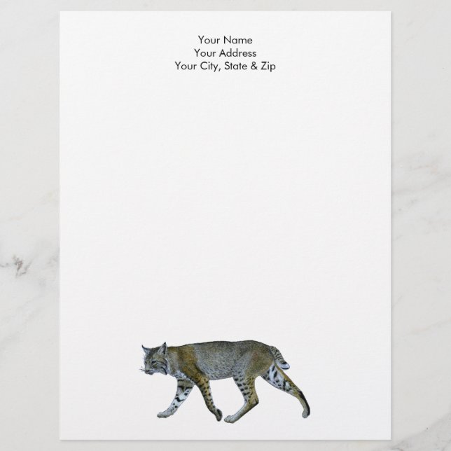 Bobcat Briefbogen (Vorderseite)