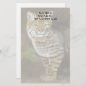 Bobcat Briefpapier (Vorne/Hinten)