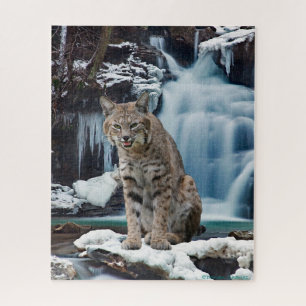"Bobcat Falls" Puzzle