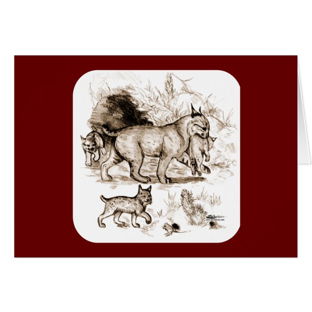 Bobcat Familie (Vorderseite (Horizontal))