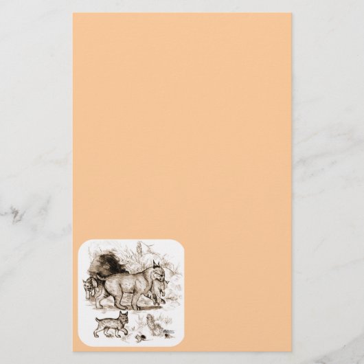 Bobcat Familie Briefpapier (Vorderseite)