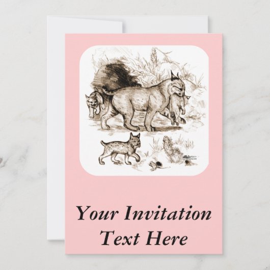 Bobcat Familie Einladung (Vorderseite)