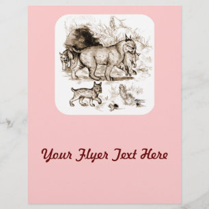 Bobcat Familie Flyer