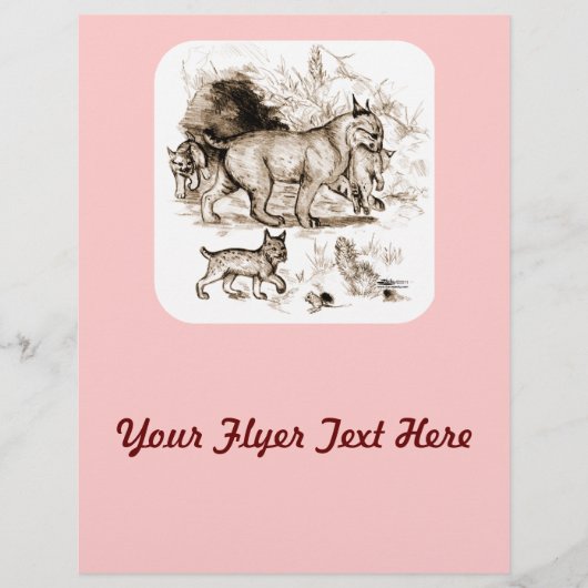 Bobcat Familie Flyer (Vorne)