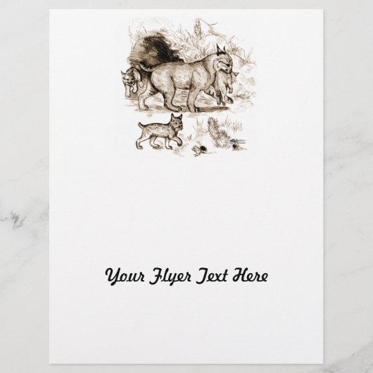 Bobcat Familie Flyer (Vorne)