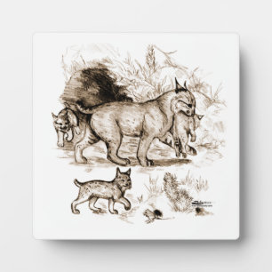Bobcat Familie Fotoplatte