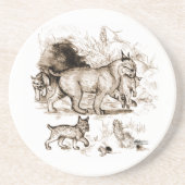 Bobcat Familie Getränkeuntersetzer (Vorne)