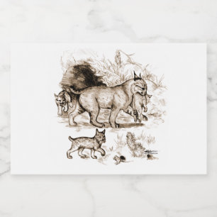 Bobcat Familie Lebensmitteletikett