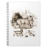 Bobcat Familie Notizblock (Vorderseite)