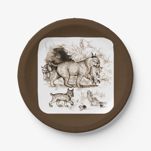 Bobcat Familie Pappteller (Vorderseite)