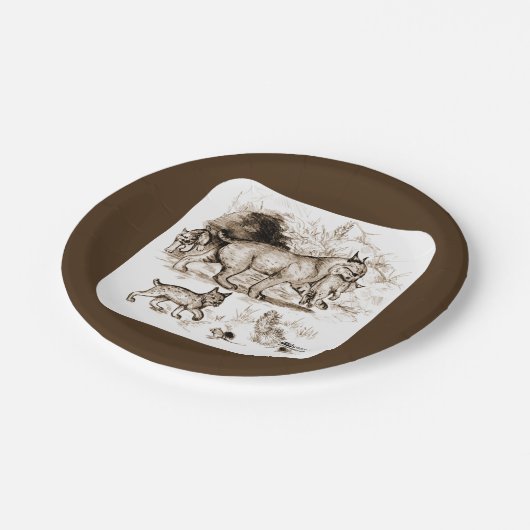 Bobcat Familie Pappteller (Schrägansicht)