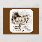 Bobcat Familie Postkarte (Vorderseite)