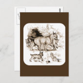 Bobcat Familie Postkarte (Vorne/Hinten)