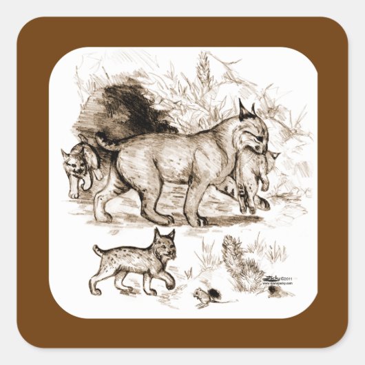 Bobcat Familie Quadratischer Aufkleber (Vorderseite)