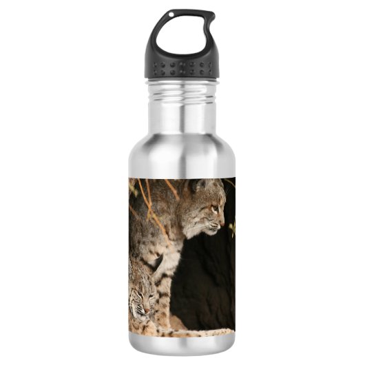 Bobcat-Foto Edelstahlflasche (Vorderseite)