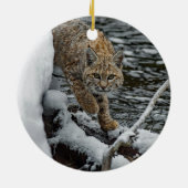 Bobcat Foto Keramik Ornament (Hinten)