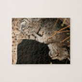 Bobcat-Foto-Puzzlespiel Puzzle (Horizontal)