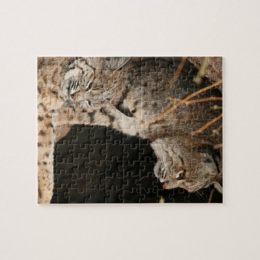Bobcat-Foto-Puzzlespiel Puzzle (Horizontal)