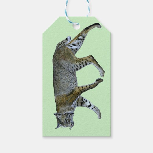 Bobcat Geschenkanhänger (Vorderseite)