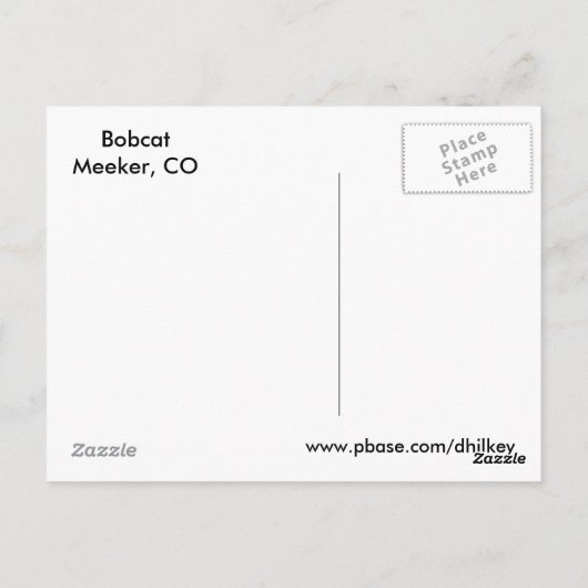 Bobcat Gesicht Postkarte (Rückseite)