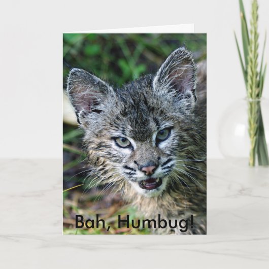 BobCat, Humbug! Feiertagskarte (Vorderseite)