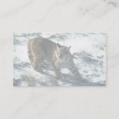 Bobcat im Schnee Visitenkarte (Rückseite)