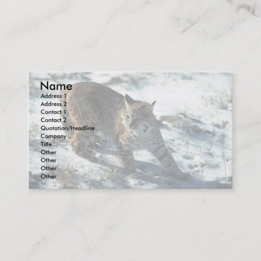 Bobcat im Schnee Visitenkarte (Vorderseite)