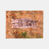 Bobcat Jagd | Herbstwald Fleecedecke (Vorderseite (Horizontal))