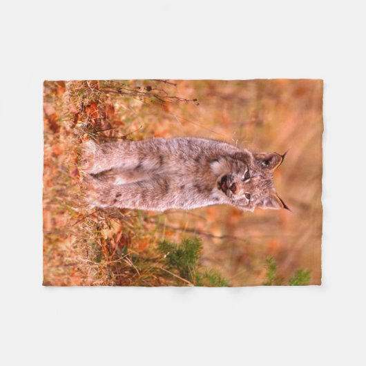 Bobcat Jagd | Herbstwald Fleecedecke (Vorderseite (Horizontal))
