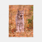Bobcat Jagd | Herbstwald Fleecedecke (Vorderseite)