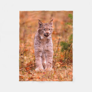 Bobcat Jagd   Herbstwald Fleecedecke
