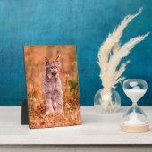 Bobcat Jagd | Herbstwald Fotoplatte (Seite)