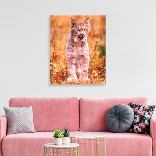 Bobcat Jagd | Herbstwald Leinwanddruck (Insitu (Wohnzimmer))