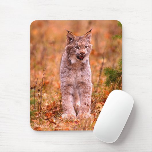 Bobcat Jagd | Herbstwald Mousepad (Mit Mouse)