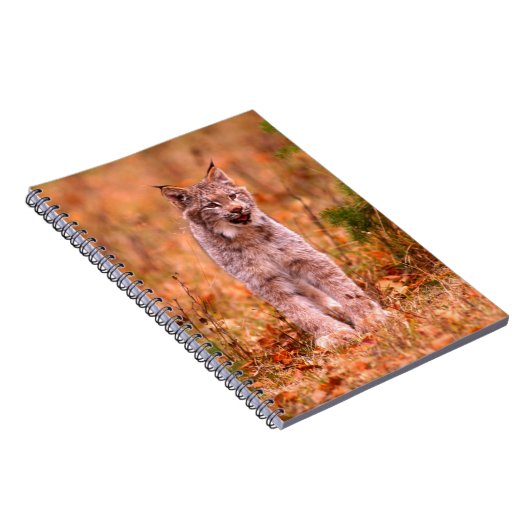 Bobcat Jagd | Herbstwald Notizblock (Rechte Seite)