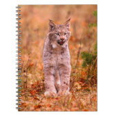 Bobcat Jagd | Herbstwald Notizblock (Vorderseite)