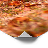 Bobcat Jagd | Herbstwald Poster (Ecke)