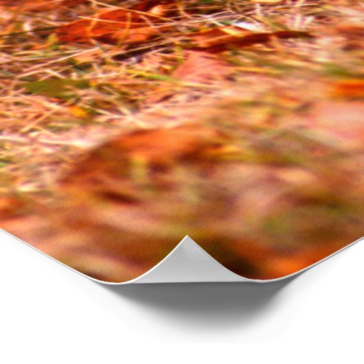 Bobcat Jagd | Herbstwald Poster (Ecke)