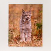 Bobcat Jagd | Herbstwald Puzzle (Vertikal)
