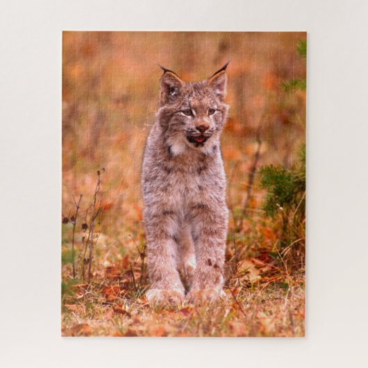 Bobcat Jagd | Herbstwald Puzzle (Vertikal)